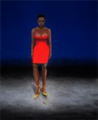 29 $ - pastel sur papier - 75 x 92 cm - 2011